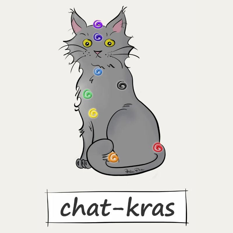 Chat-kras