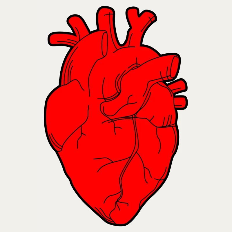 Heart