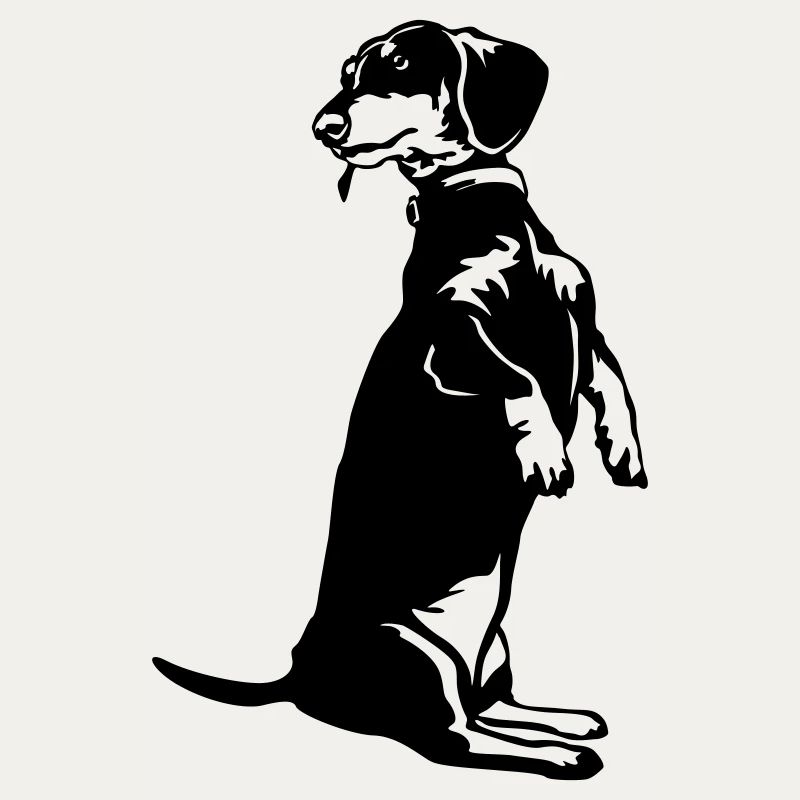 Dachshund