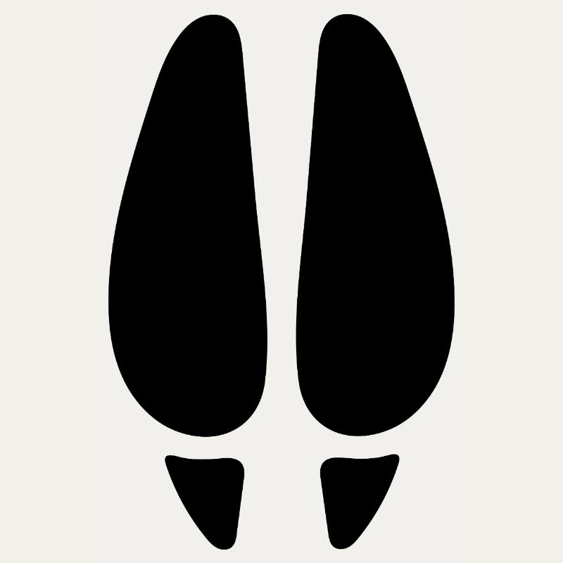 Empreinte de cerf