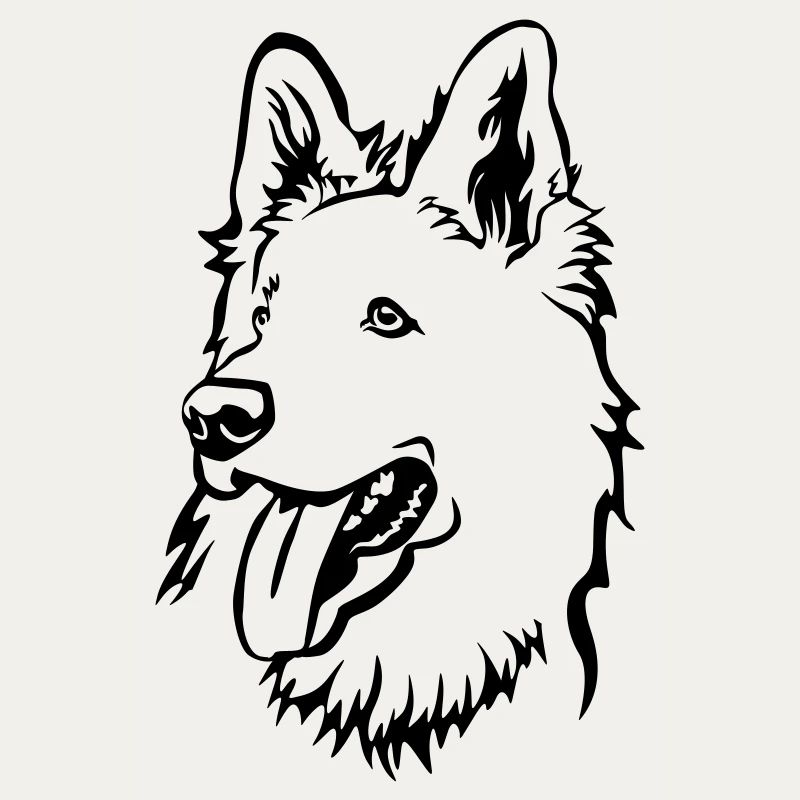 Schweizer Schäferhund Kopf