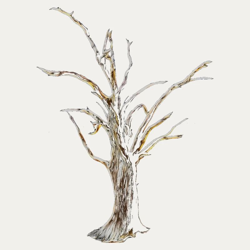 Baum