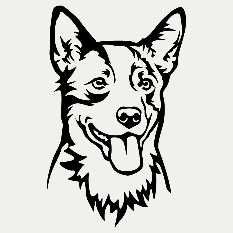 Australian Cattle Dog Kopf