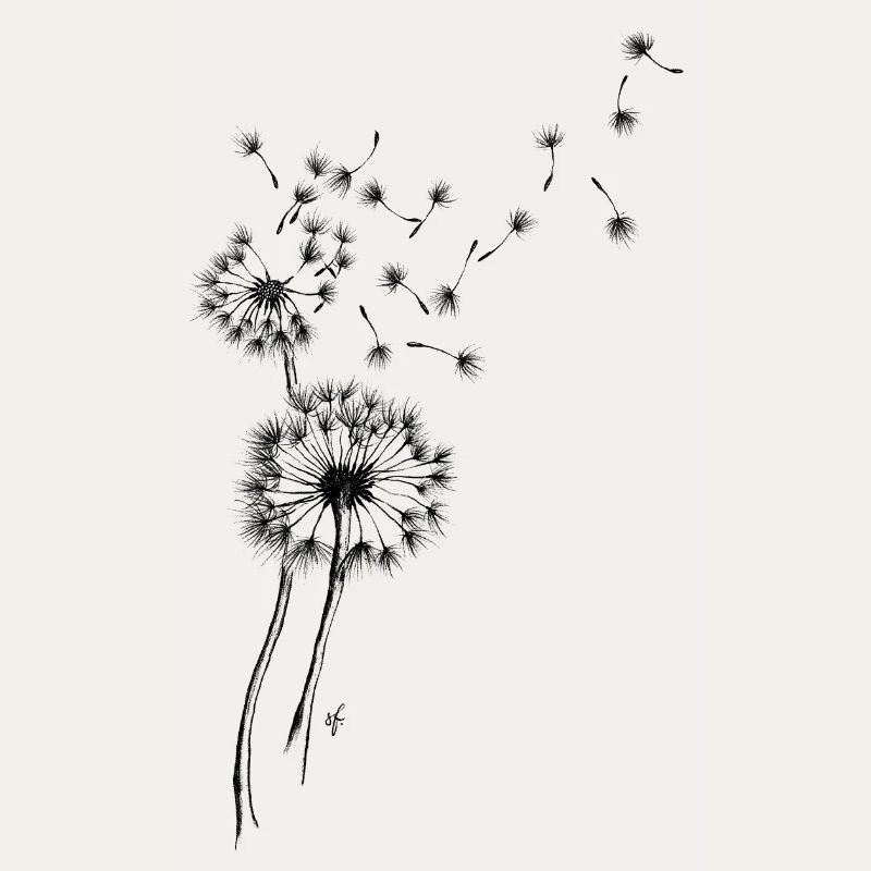 Pusteblume schwarz