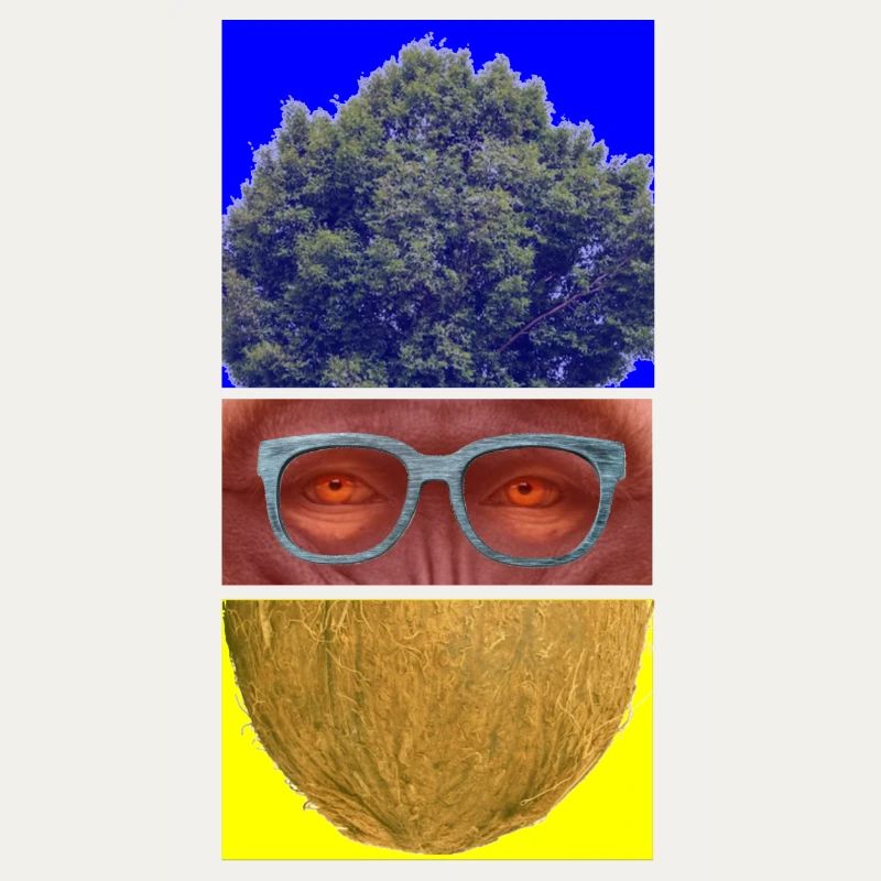 Triptyque coloré: arbre, visage et noix
