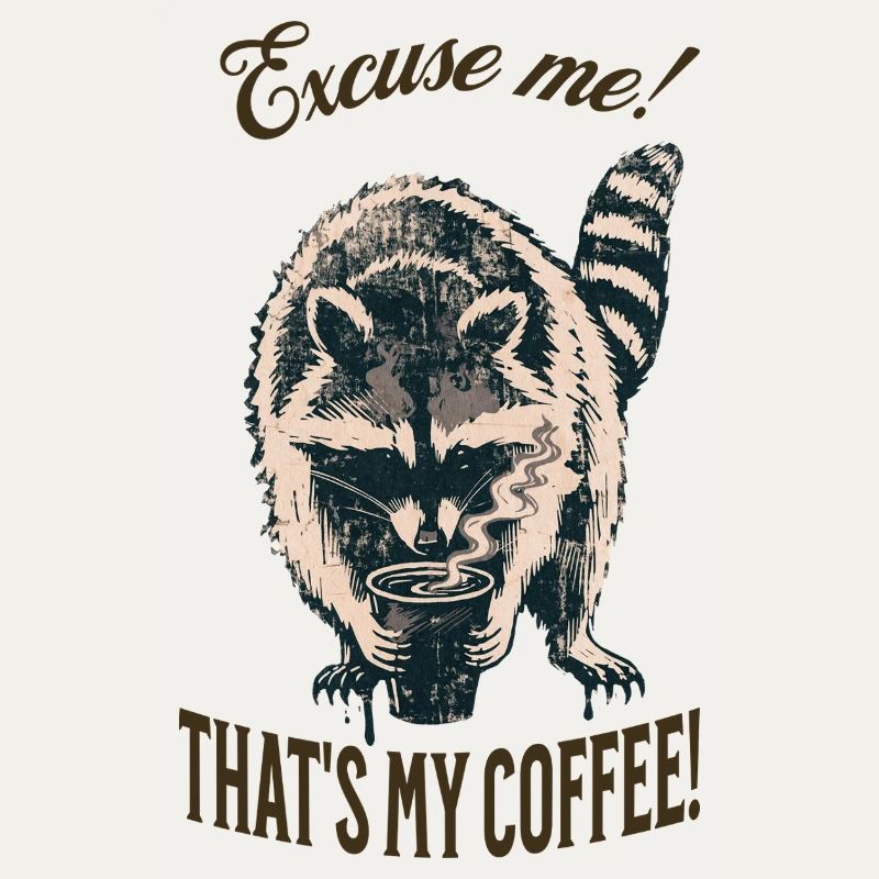 Excusez-moi ! C’est mon café – Raton laveur