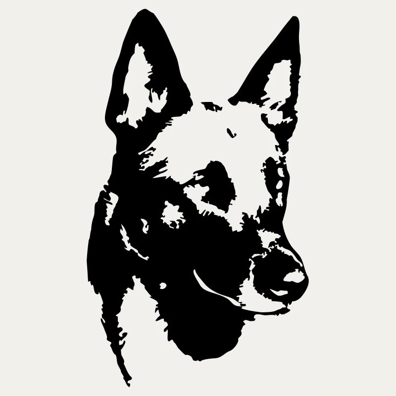 Malinois Kopf