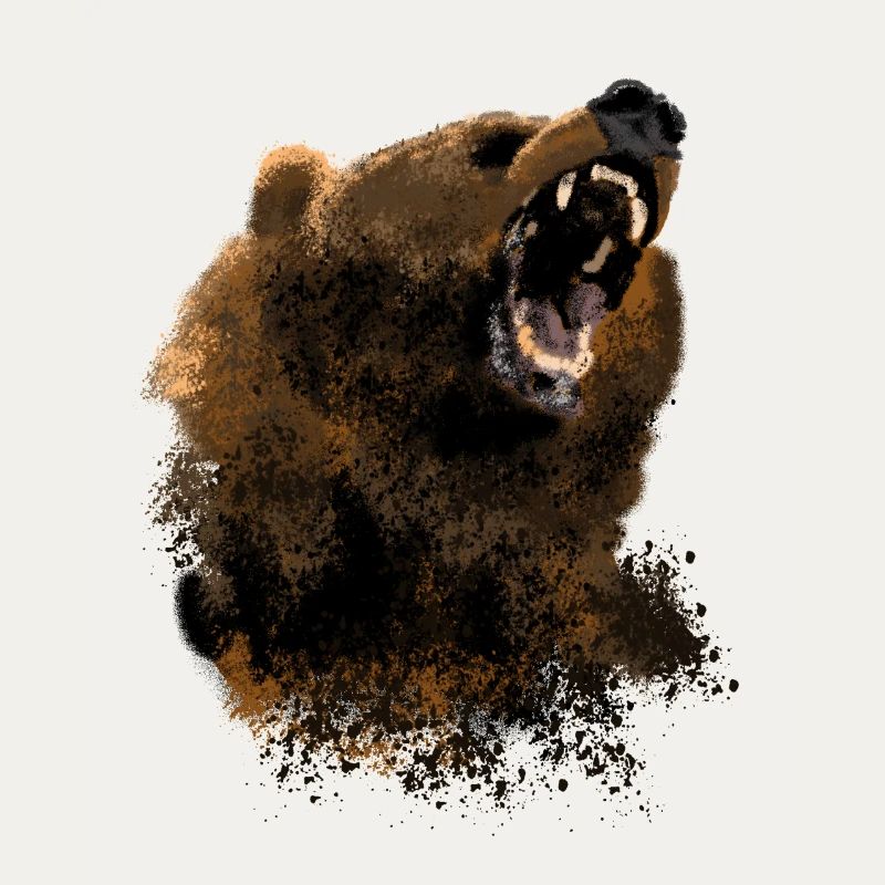 Bär