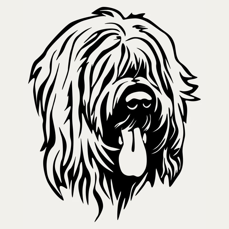 Tête de Briard