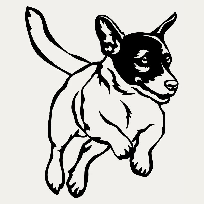 Jack Russell Terrier