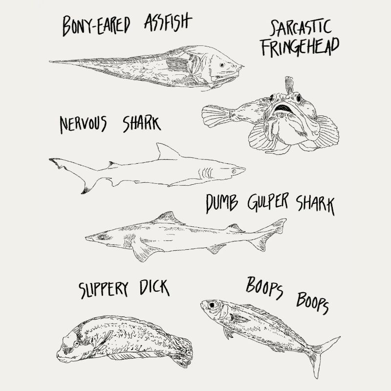 FUNNY FISH