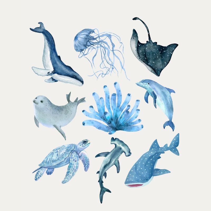 ocean animals
