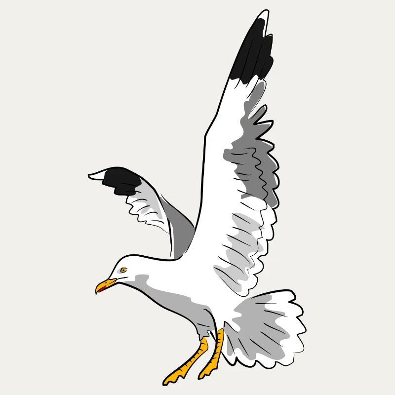 vogel möwe strand