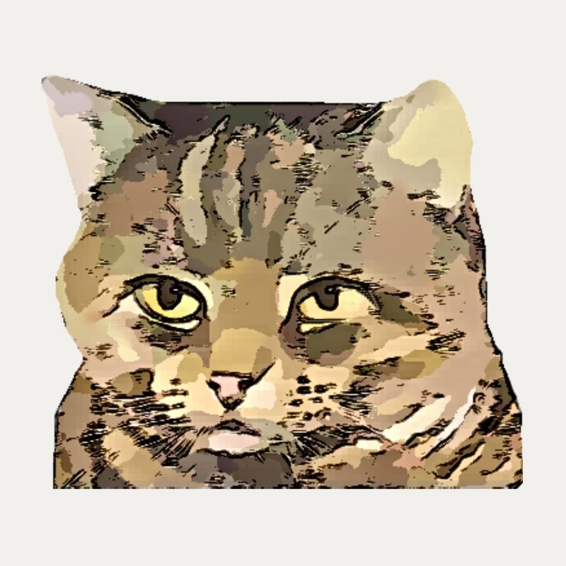 Katze