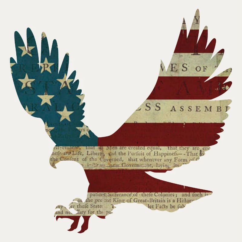 Bald Eagle America