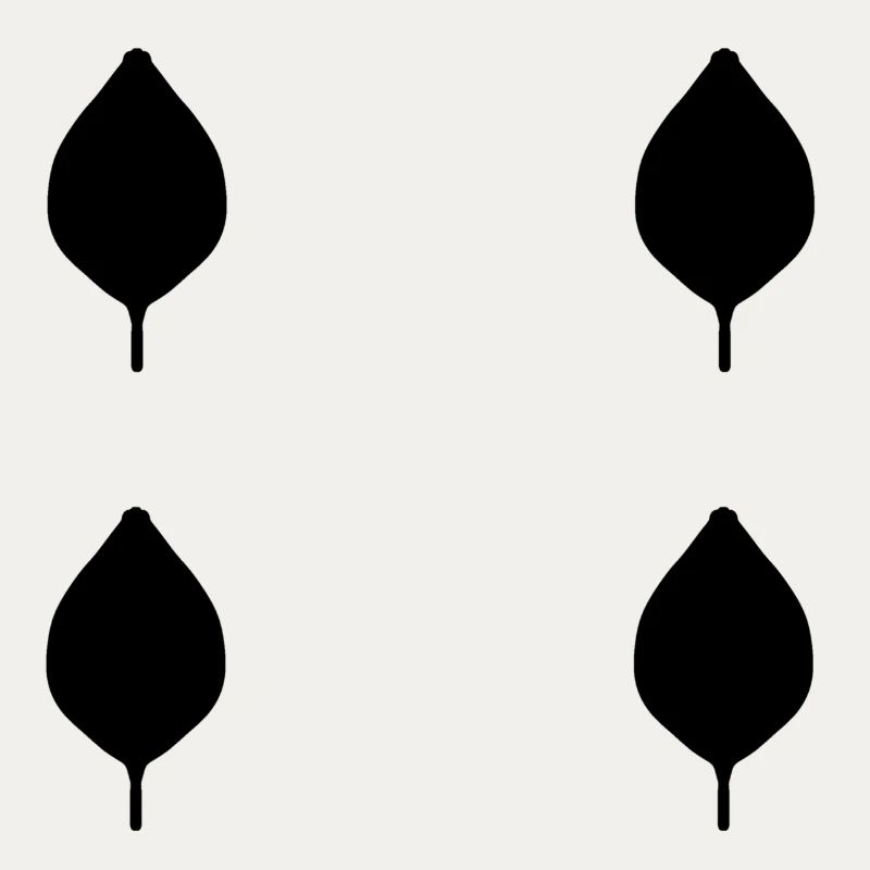four leaves leaf nature pattern