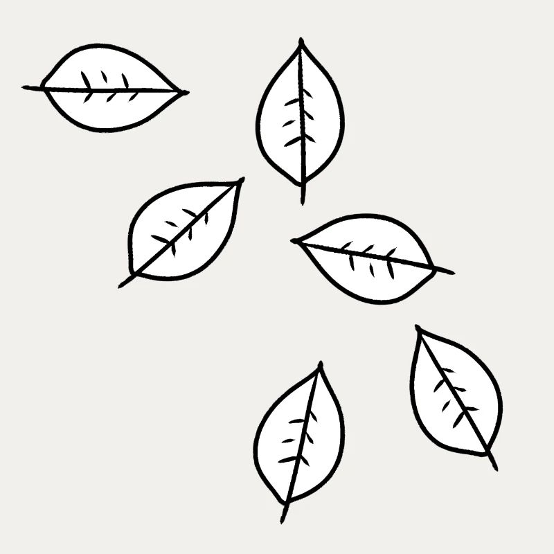 Leaf Symbol Pattern Leaves Shape Nature