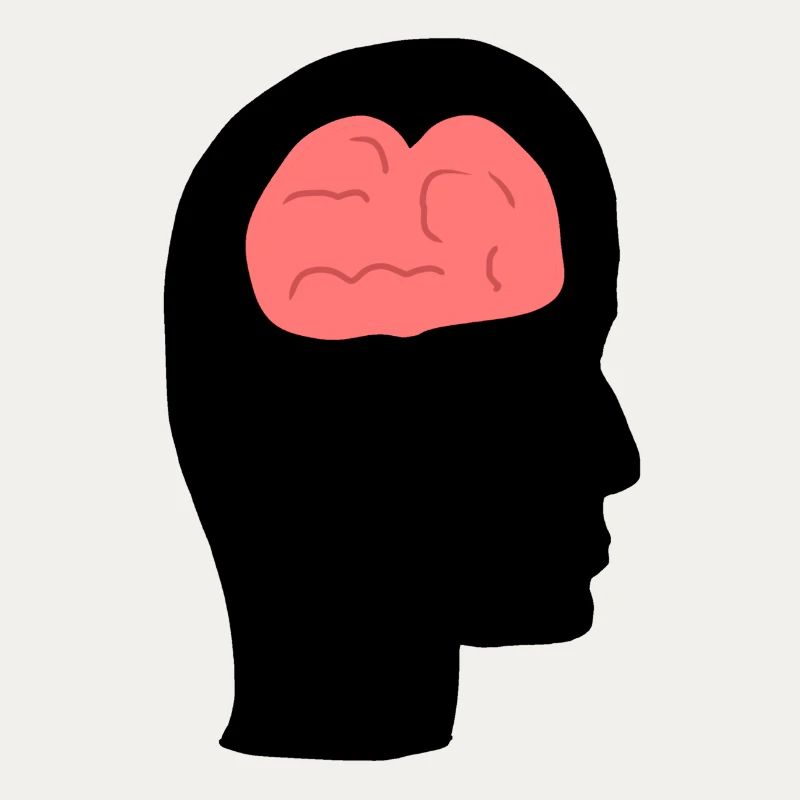 Head Profile Human People Side Brain