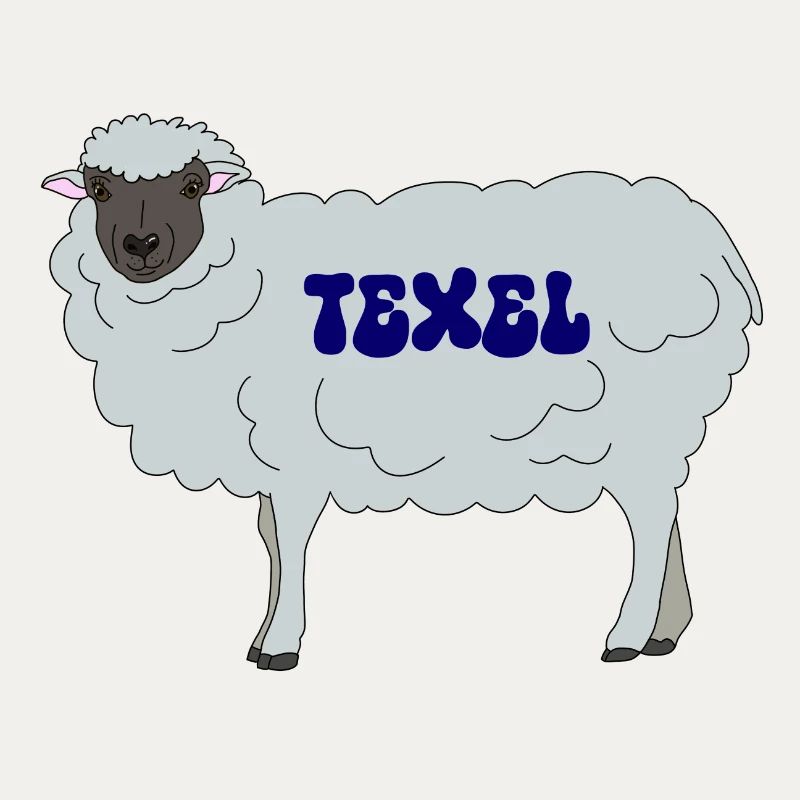 Texel Schaf