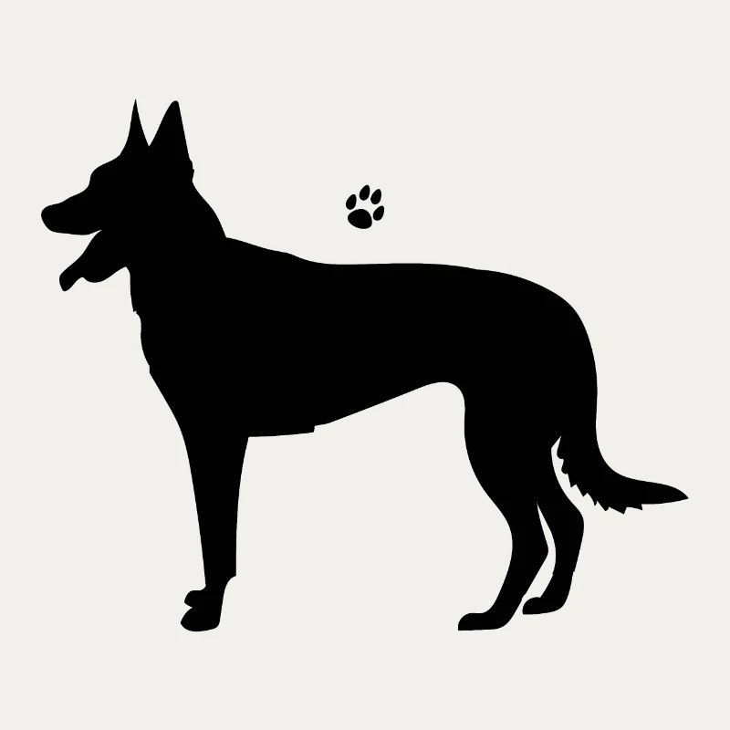 Belgian Malinois Shepherd Dog