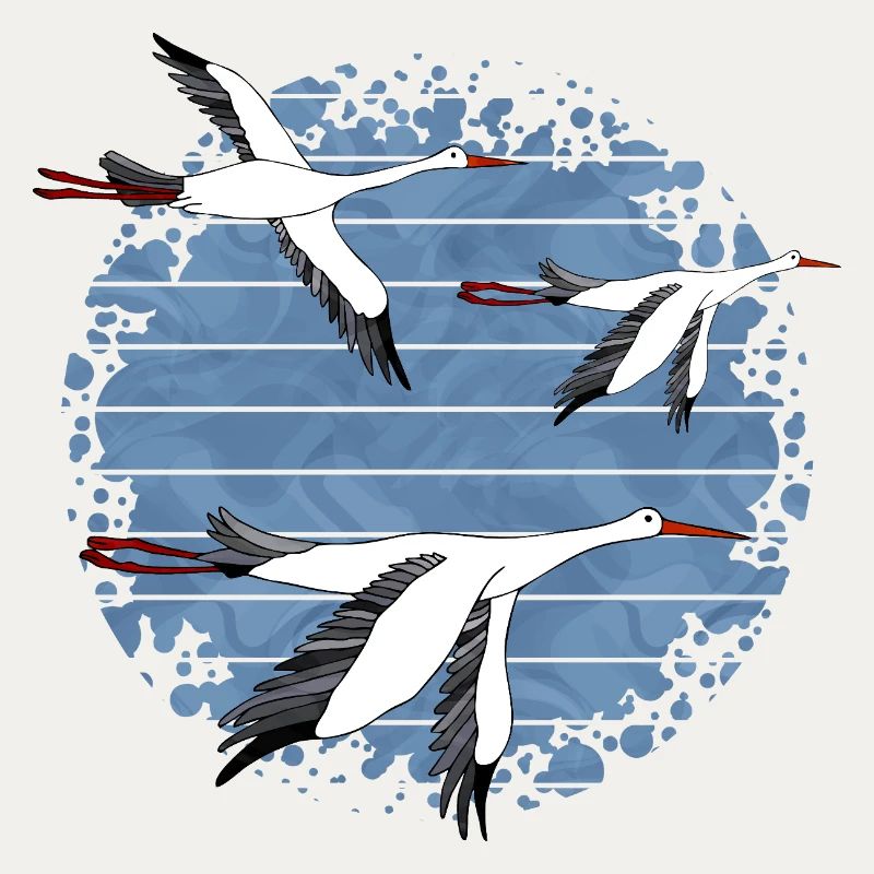 Oiseaux