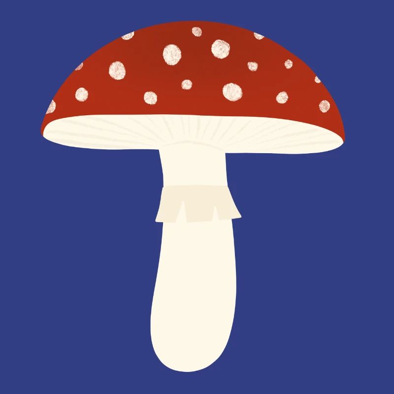 Toadstool Fly Agaric Mushroom