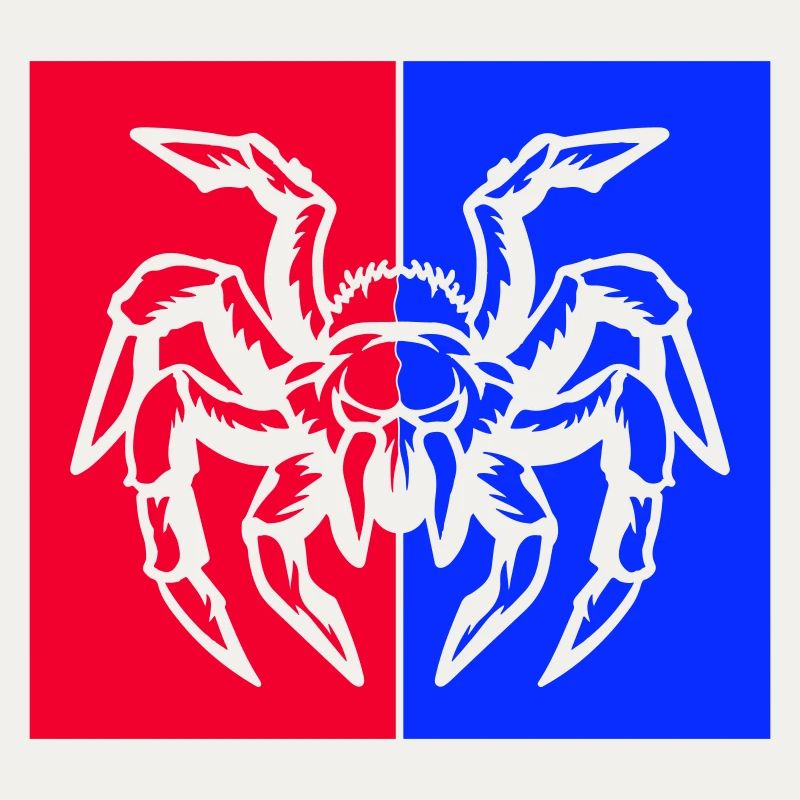 spinne spider