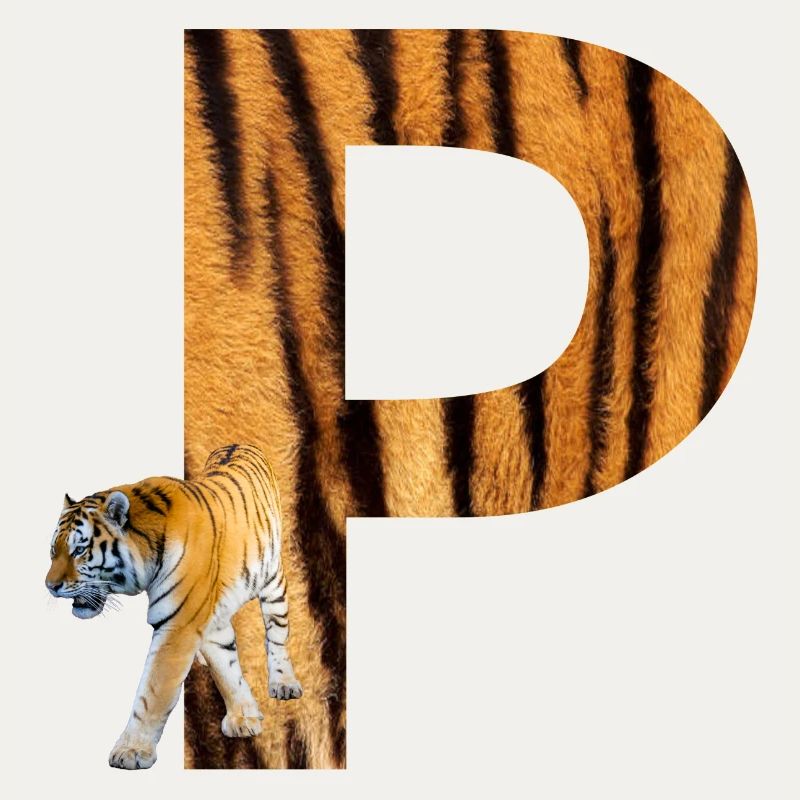 tiger p