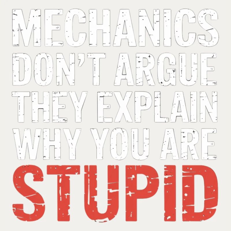 Mechanics Explain Why You Are Stupid 5