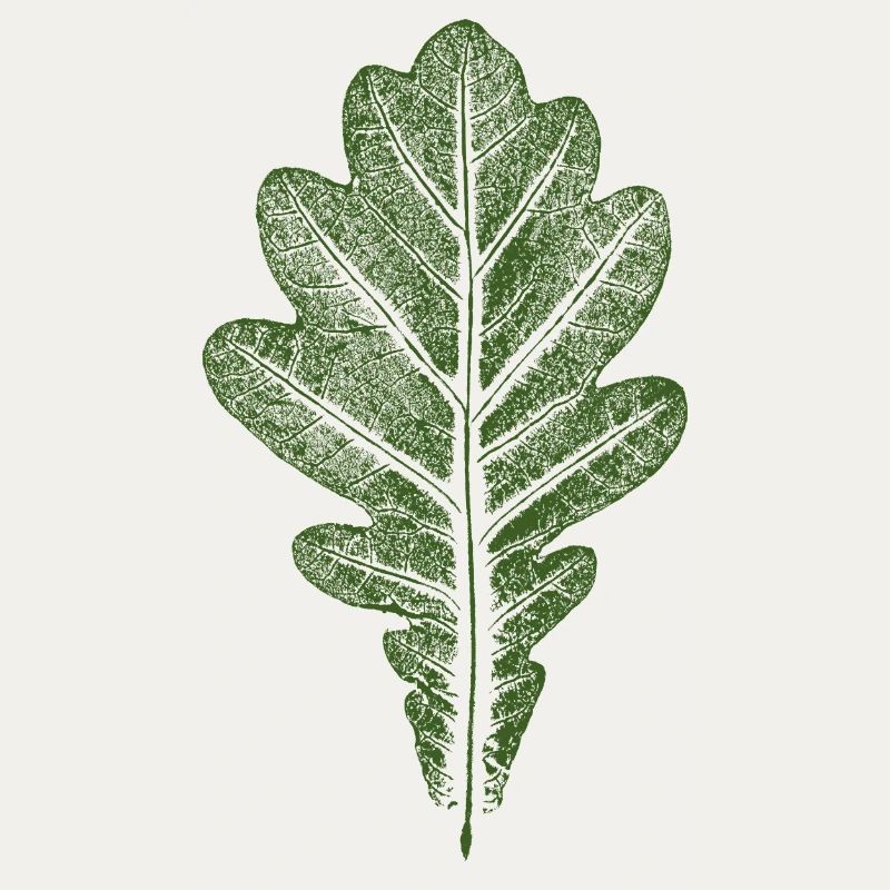 Feuille de chêne - Feuille de chêne / Nature & Forest Design