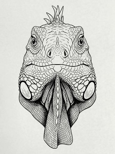 iguana
