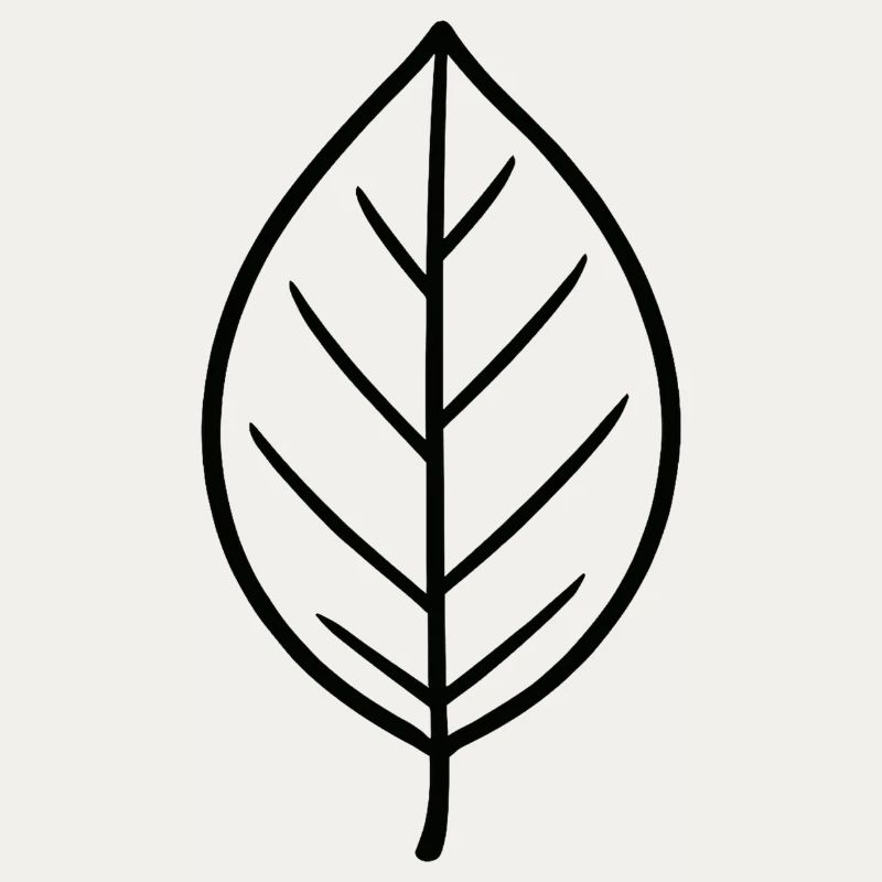 Conception minimaliste Leaf