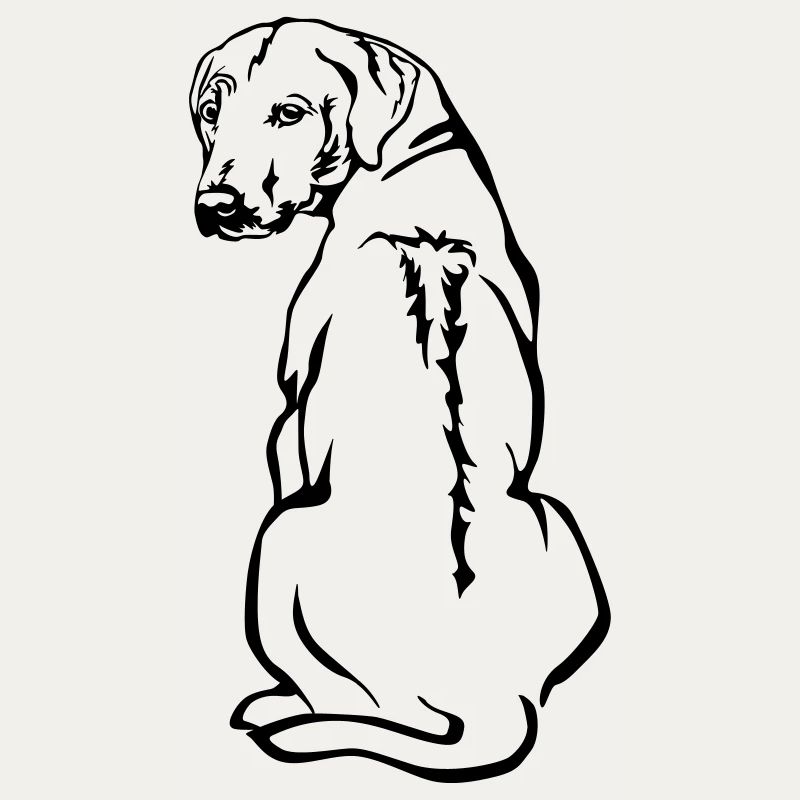 Rhodesian Ridgeback
