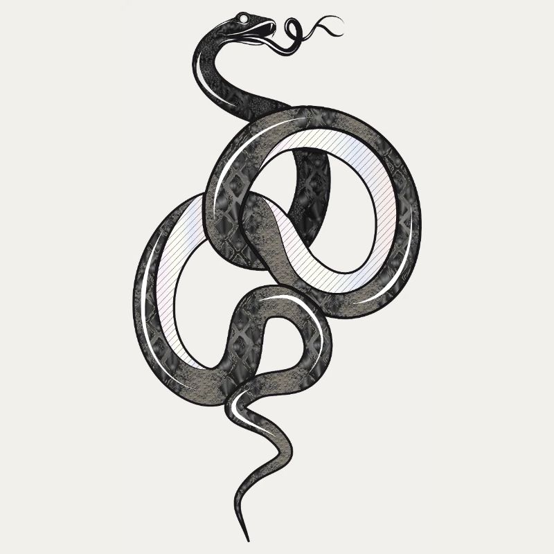 Fascinating snake in black glossy structure