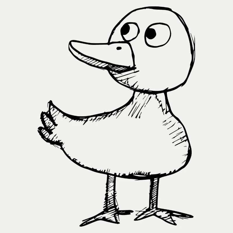 Canards