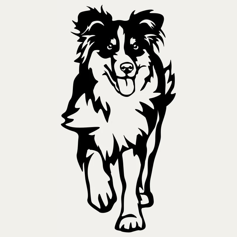 Australian Shepherd