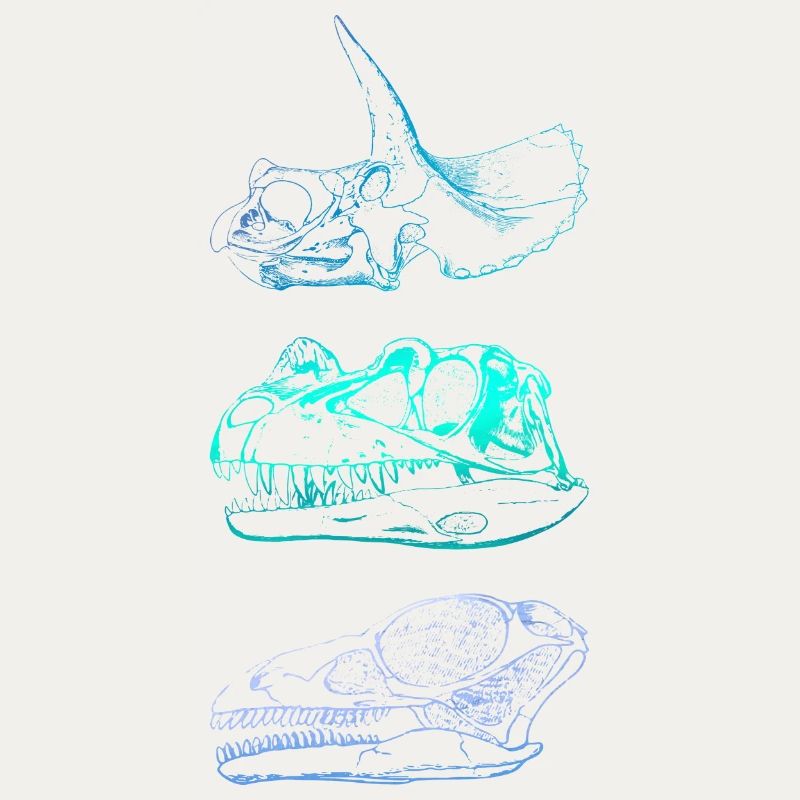 Dinosaur Skulls