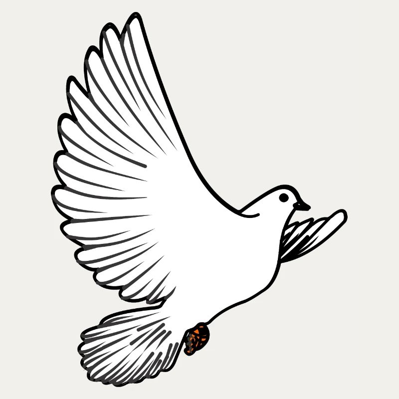 Weiße Taubenbrieftaube Ziertaube oder Friedenstaube