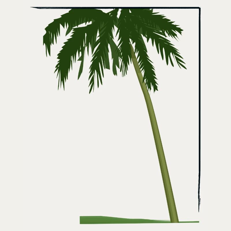 Palm tree in frame | palm tree in frame