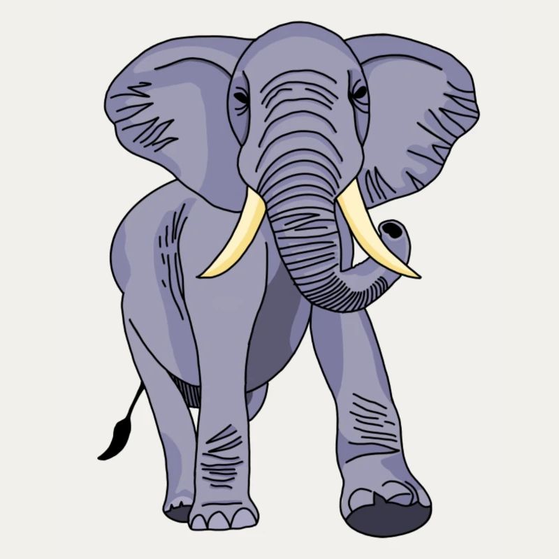 Éléphant