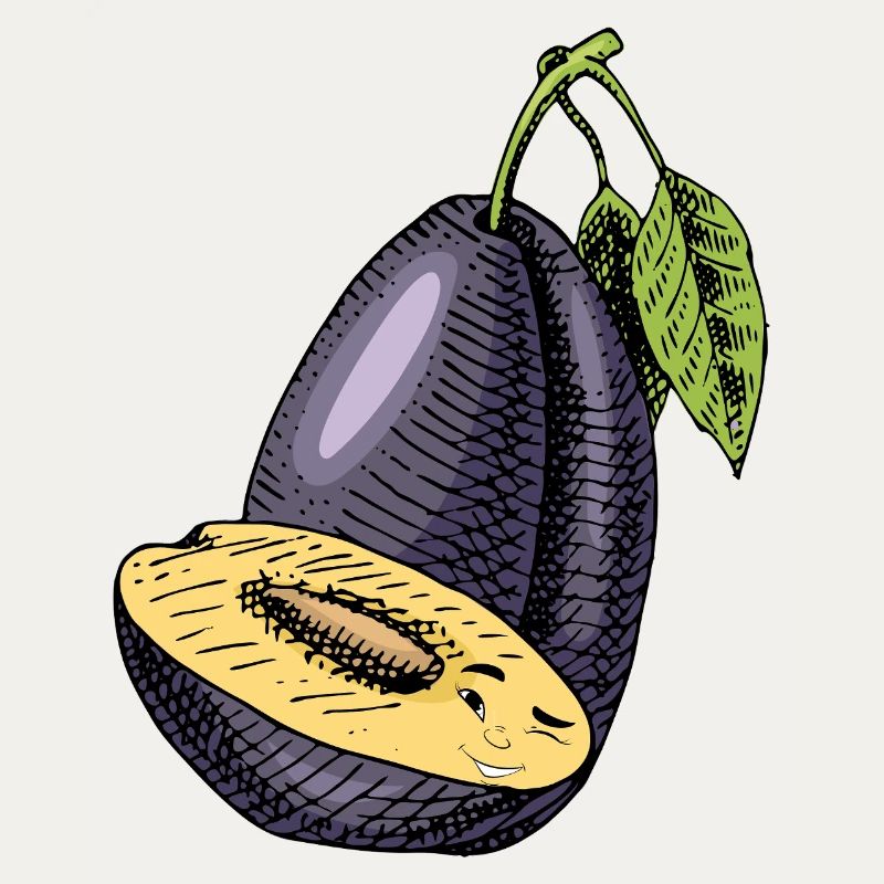 Fruit de prune