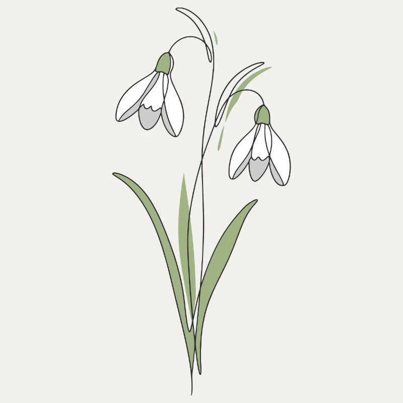 Snowdrop Line Art Illustration