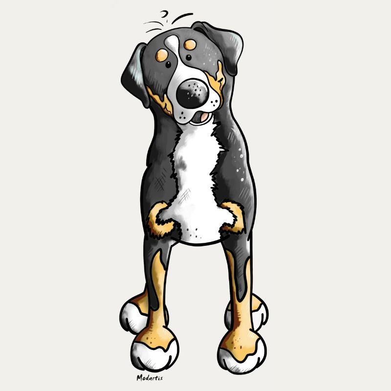Witziger Schweizer Sennenhund