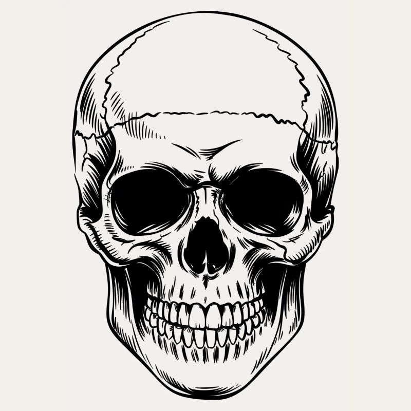 Skull