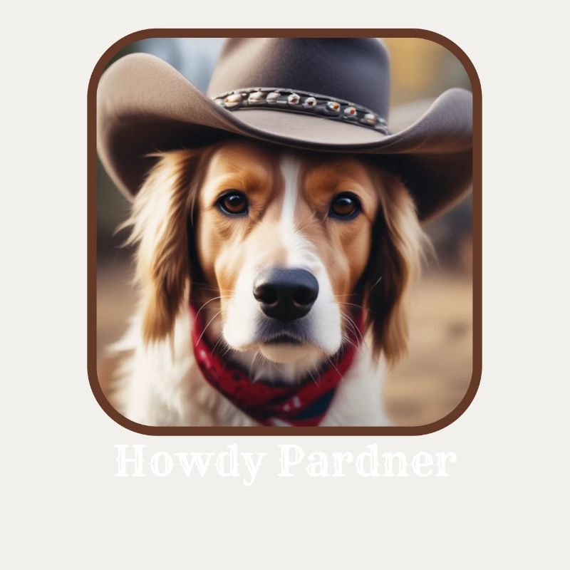 Howdy Pardner