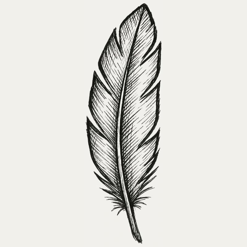 Black feather in night light