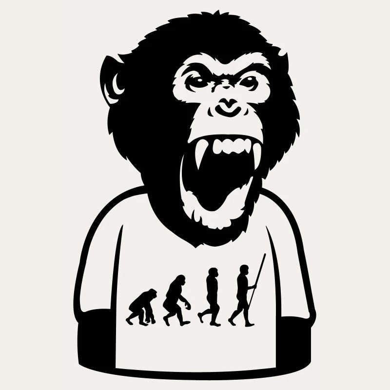 Affe Evolution
