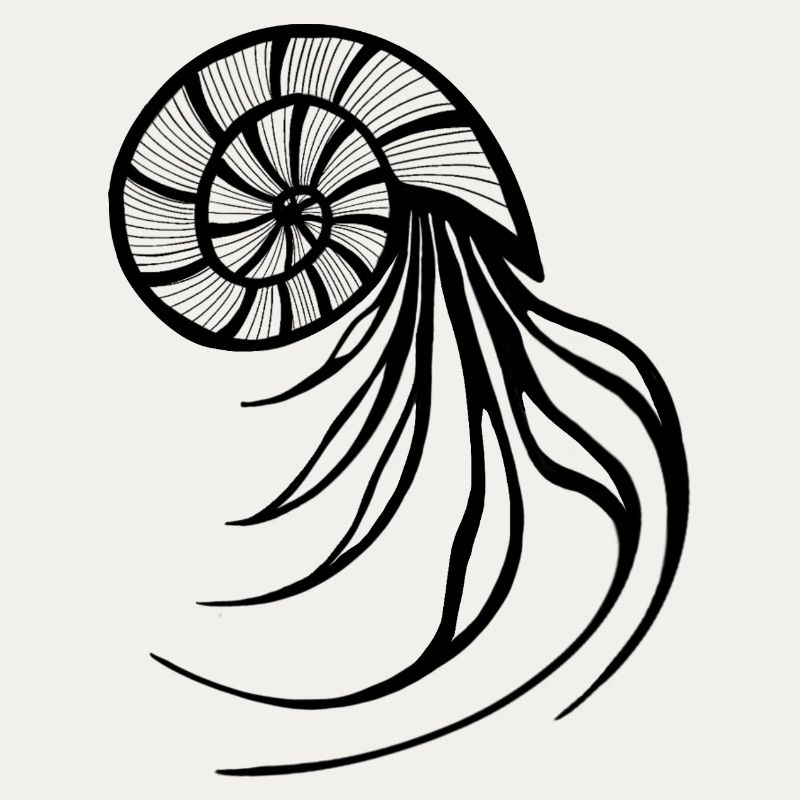 Nautilus