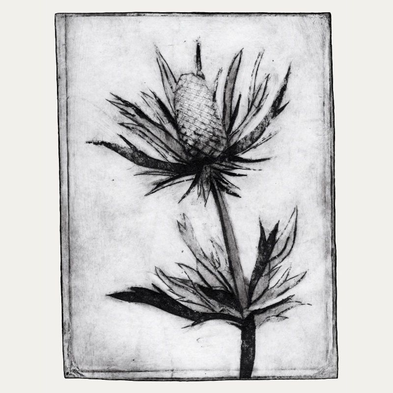 Thistle - hand carved artwork