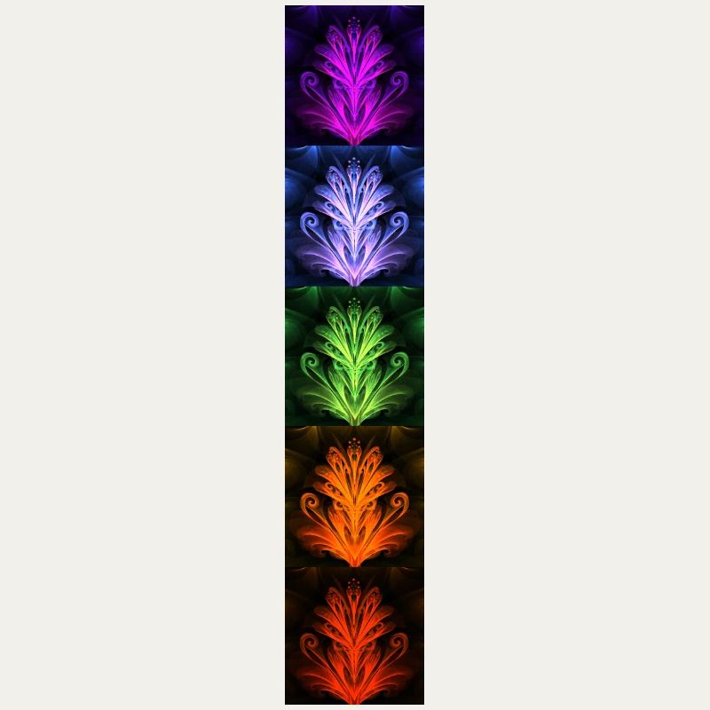 Nightflower Monkeyface